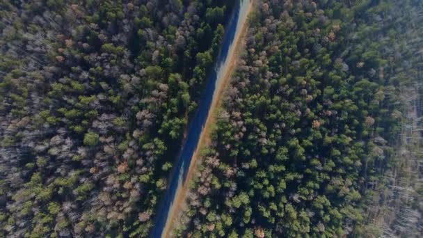 vanuit de lucht zicht op de weg door het bos - Video