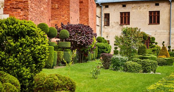 Garten- und Landschaftsbau mit dekorativen Bäumen und Pflanzen - Foto, Bild