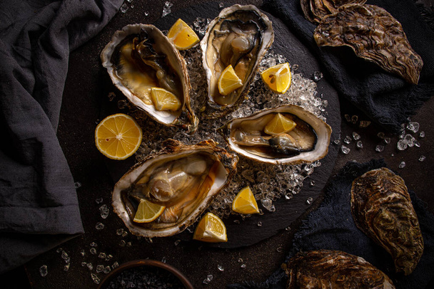 Arranged oysters in black slate board - Foto, immagini