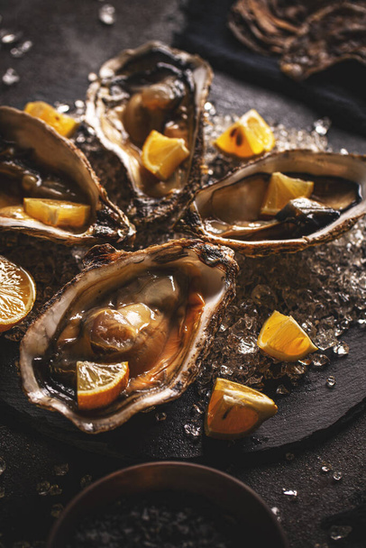 Seafood appetizer fresh oysters - Foto, Imagen