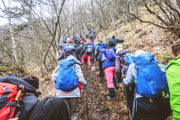 Vida activa saludable, Gente trekking en el paisaje de montaña de invierno, Grupo de excursionistas con mochilas
  - Foto, imagen
