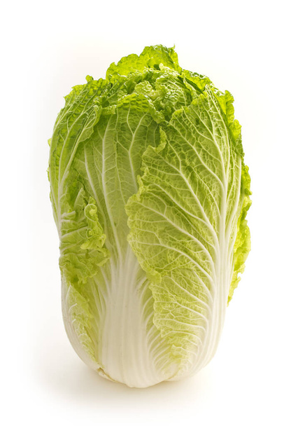Whole Chinese cabbage (called Hakusai in Japan) - 写真・画像
