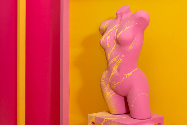 Multi-colored female mannequin on a pink and yellow background. - Foto, Imagen