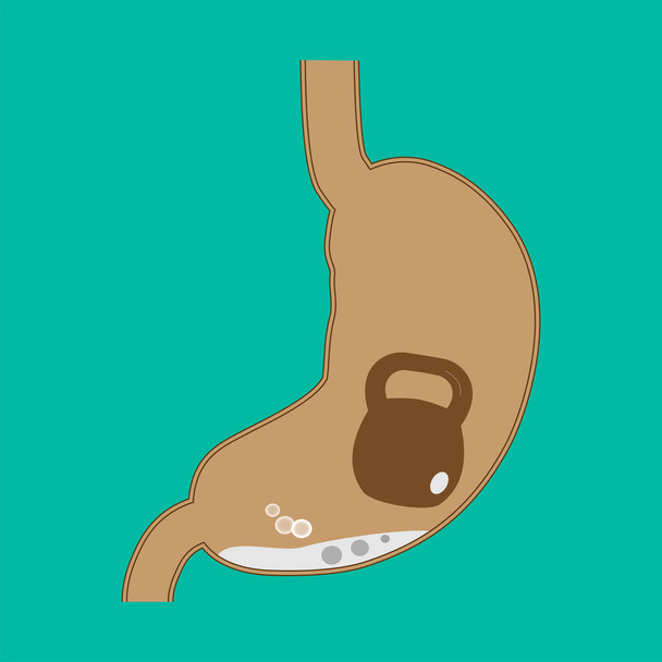Vector image of a human stomach. Stomach in section with a kettlebell. Heaviness in the stomach. To advertise treatment products - Vettoriali, immagini