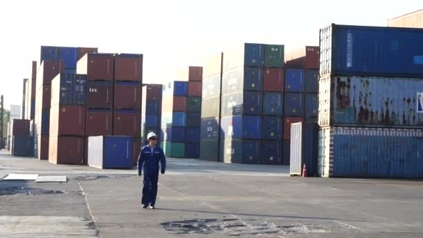 Mühendis konteynır deposunda ayakta duran bir kask takıyor ve yurtdışına mal ihraç etmeden önce konteyner bütünlüğünü kontrol ediyor. Nakliye, ithalat, ihracat endüstriyel ve lojistik kavramı. - Video, Çekim