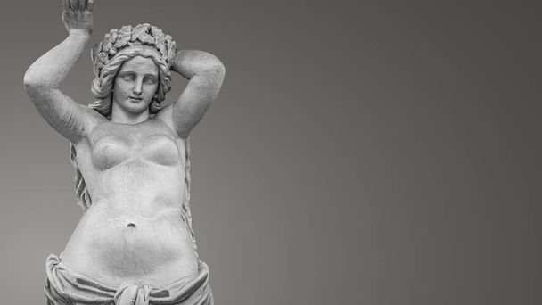 Banner with a portrait of young and naked sensual Roman Italian Renaissance Era woman statue with copy space for text and gradient grey background - Photo, Image