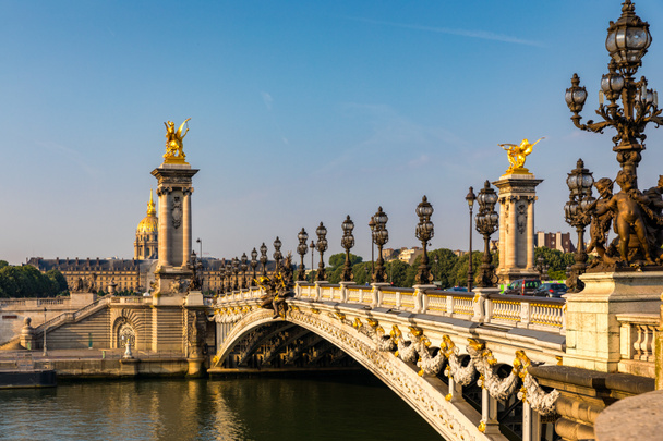 Pont Alexandre III most nad Sekwaną w słoneczny letni poranek. Most ozdobiony ozdobnymi secesyjnymi lampami i rzeźbami. Most Aleksandra III nad Sekwaną, Paryż, Francja. - Zdjęcie, obraz
