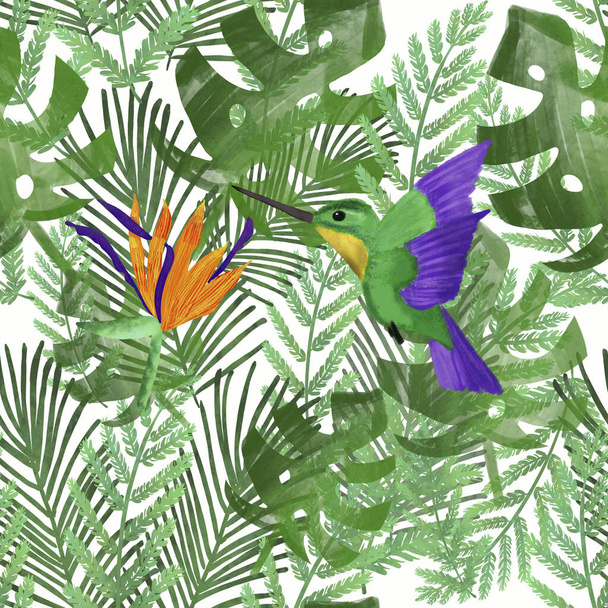 Kolibri / kolibri ja appelsiini strelitzia trooppisissa lehdissä. Valkoinen tausta. Trooppinen kesäpainos. Pakkaus, tapetti, paperitavarat, kangas, tekstiilisuunnittelu
 - Valokuva, kuva