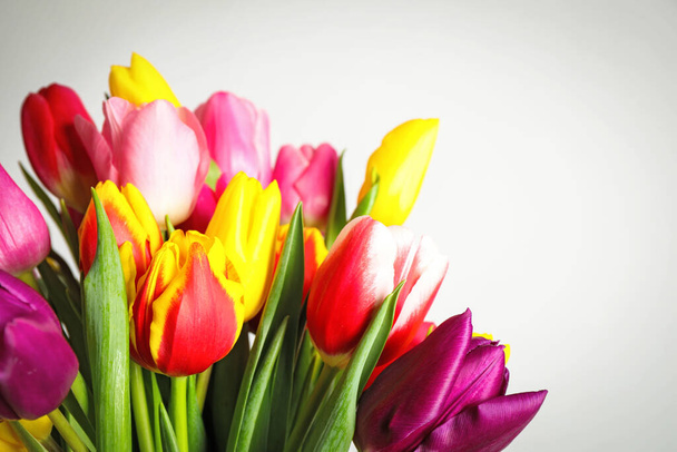 Beautiful bright spring tulips on white background - 写真・画像