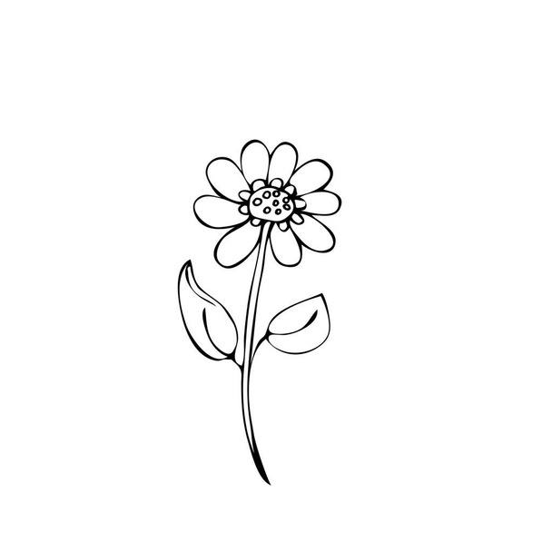Flower. Isolated on a white background. Stock vector illustration. Black and white graphics. Minimalism. Hand drawn. - Vector, Image