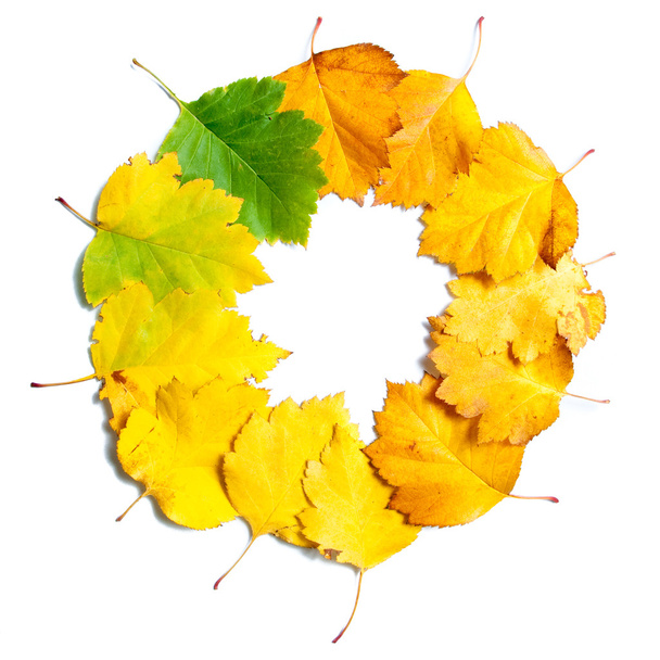 Marco de hojas de otoño
 - Foto, Imagen