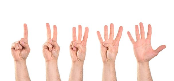 Cuenta hasta cinco con cinco manos comenzando con el dedo índice con fondo blanco aislado. Composición horizontal
. - Foto, imagen