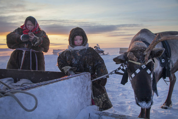 O extremo norte, Yamal, o passado do povo Nenets, a habitação dos povos do norte, uma foto de família perto do yurt na tundra - Foto, Imagem