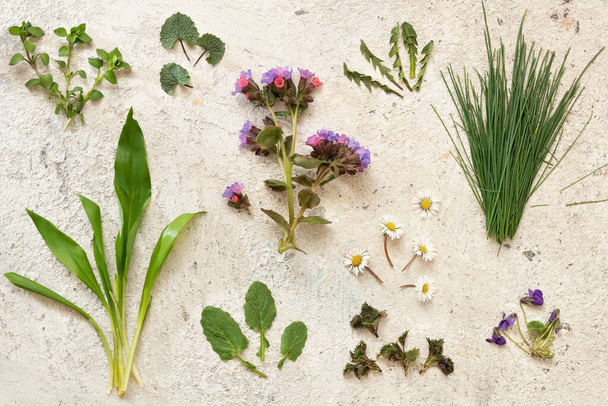 Lungwort, aglio selvatico, erba medica, ortica e altre erbe medicinali e piante commestibili selvatiche raccolte all'inizio della primavera
 - Foto, immagini