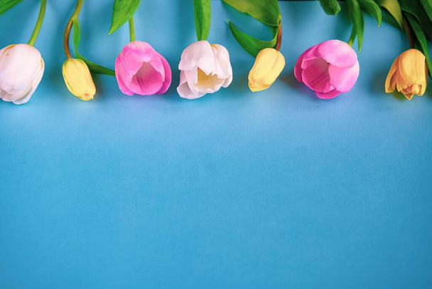 fundo de Páscoa com tulipas
 - Foto, Imagem