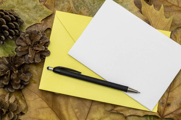 Samenstelling met behulp van droge herfstbladeren, blanco papier voor tekst, gele envelop, dennenappels en zwart potlood - Foto, afbeelding