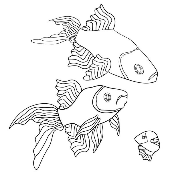 Poissons d'aquarium - illustration vectorielle en noir et blanc dessinée à la main. Poisson rouge
. - Vecteur, image