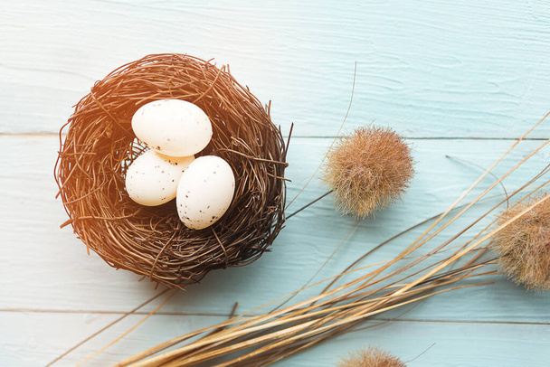 Huevos de codorniz en el nido, vista superior. Concepto Pascua
 - Foto, Imagen