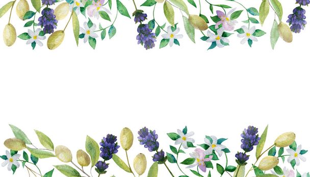 Watercolor hand painted nature provence border banner composition with purple lavender blossom flowers, green olives and white bergamot branches on the white background for invite and greeting cards - Foto, immagini