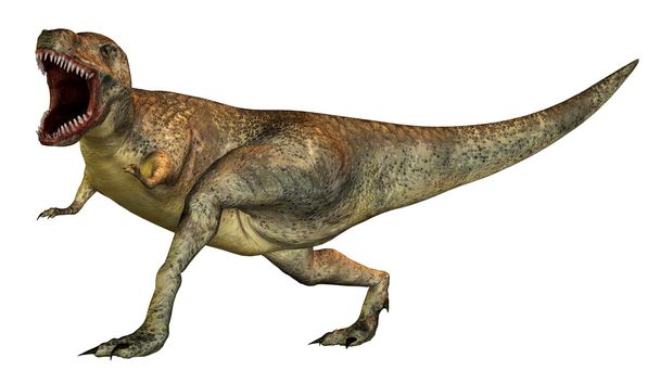 Tyrannosaurus rex - Foto, imagen