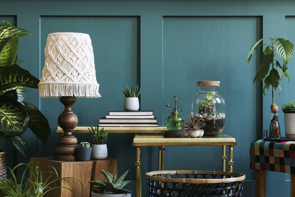Gyönyörű zöld házak növények befőttesüvegekben és edényekben - Fotó, kép
