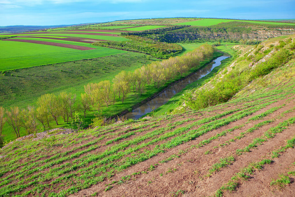 paysage naturel printanier avec rivière
 - Photo, image
