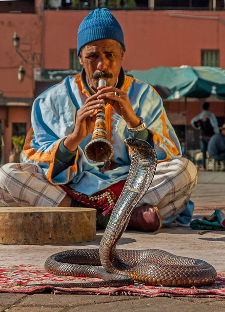 Charmer serpente tocando música, Marrakech, Marrocos
 - Foto, Imagem