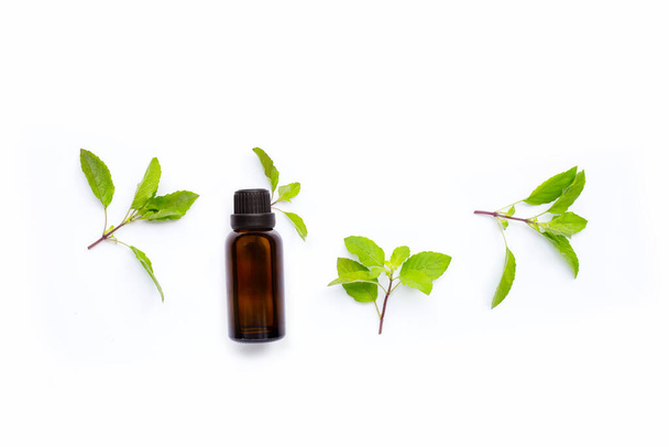 Essential oil with fresh holy basil  leaves on white background. - Фото, изображение