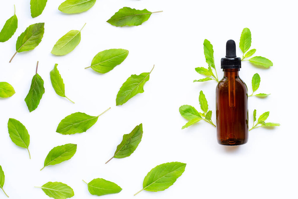 Essential oil with fresh holy basil  leaves on white background. - Foto, Imagem