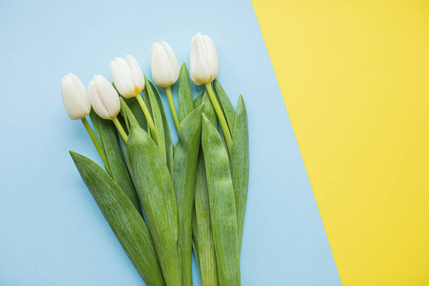 Belles tulipes blanches sur fond de papier multicolore avec espace de copie. Printemps, été, fleurs, concept de couleur, journée des femmes
 - Photo, image