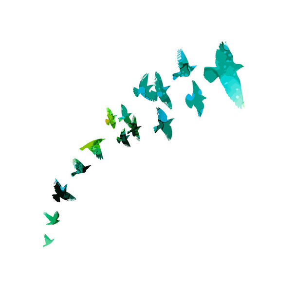 Sokszínű madarak. Egy csapat repülő szivárvány madár. Sok szárnyaló madár. Vektorillusztráció - Vektor, kép