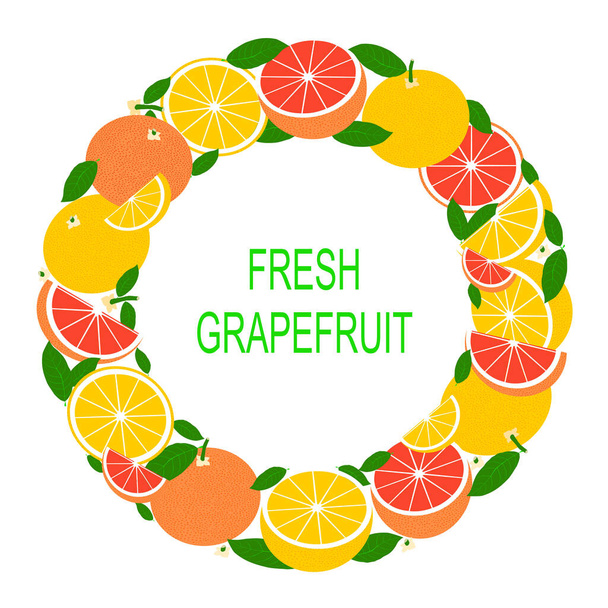 Wreath with grapefruit. Vector Illustration with fresh grapefruits in circle. Vector flat design suitable from template, banner, border, frame, card or icon.  - Vector, Image