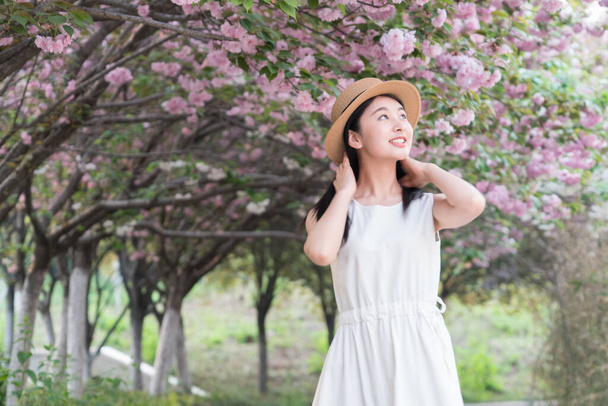 asian girl admiring beautiful cherry blossoms, spring - Zdjęcie, obraz