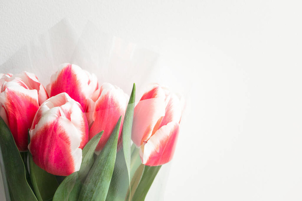Ramo de tulipanes rosados con espacio para copiar. Regalo y felicitaciones al Día de las Madres. Hermosas flores, primer plano
 - Foto, Imagen