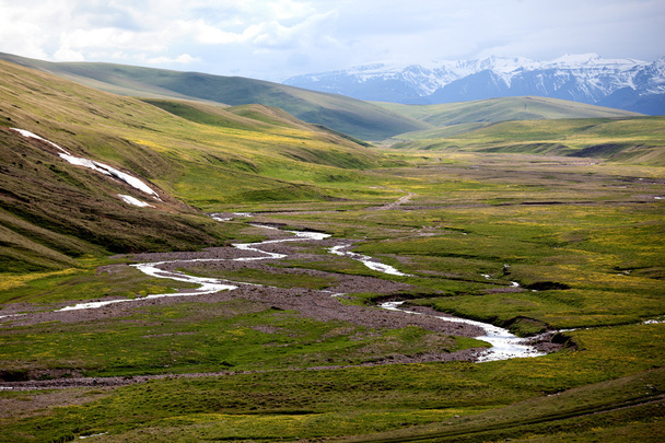 Assy plateau in Kazakstan - Фото, зображення