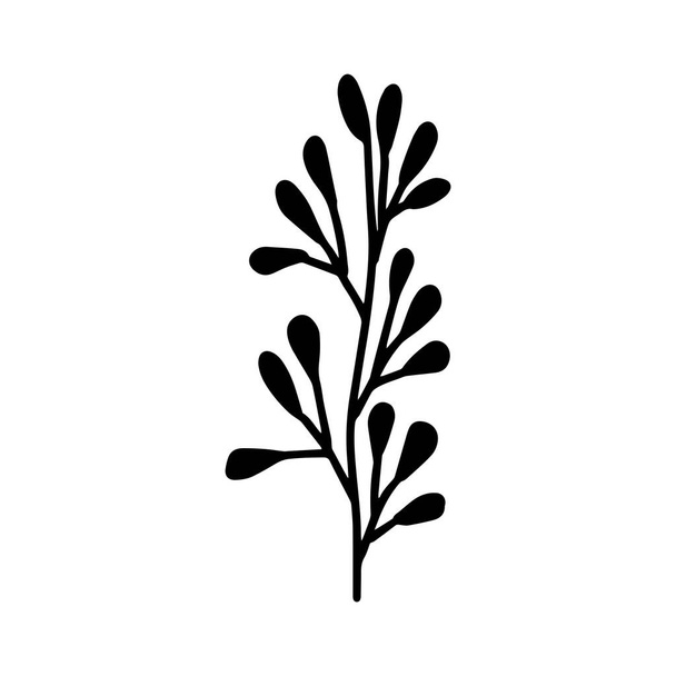 Sign hand drawn herbal Twig leaves. Floral sprig. Spring flower, buttons, blade, bush isolated on white background. Doodle outline vector illustration for wedding design - Wektor, obraz