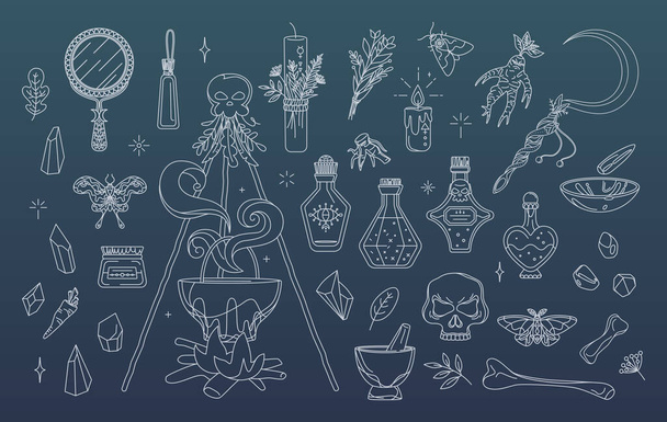 Wicca, gyógynövény és boszorkányság elemek készletben. Varázslat gyűjtemény - Vektor, kép