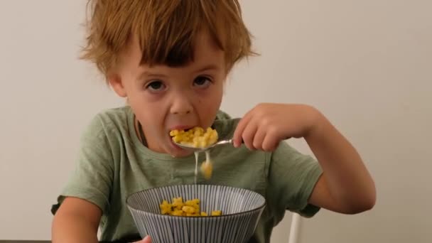Little boy eating cereals for breakfast - Materiał filmowy, wideo