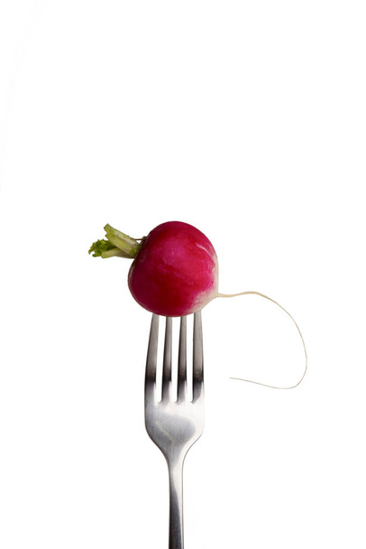 One radish on fork isolated on white background - Photo, image