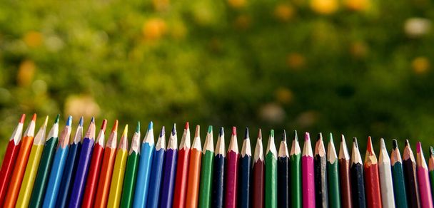 Lápices de colores en una fila sobre fondo verde natural. Como una cerca de lápices sobre el césped verde soleado
 - Foto, Imagen