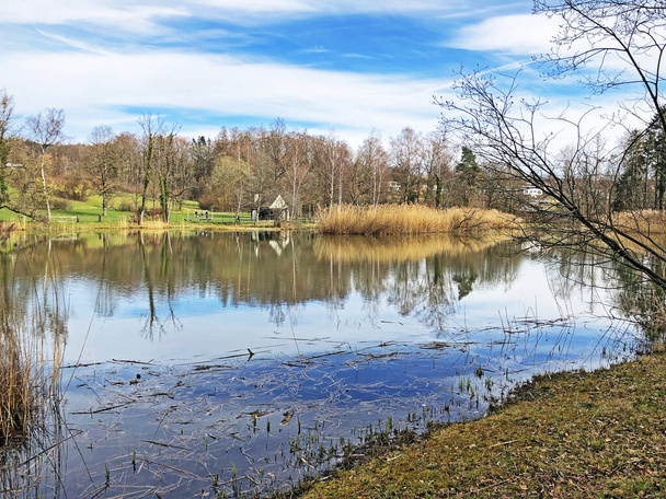 自然保護区の小さなRumensee湖またはRumensee pon oder Naturschutzgebiet Rumense, Kusnacht am Zurichsee (またはKuesnacht am Zuerichsee) -チューリッヒのカントン - 写真・画像