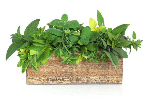 Herb Leaf Mixture - Photo, Image