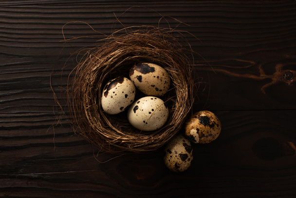 верхний вид перепелиных яиц в гнезде на темной деревянной поверхности
 - Фото, изображение