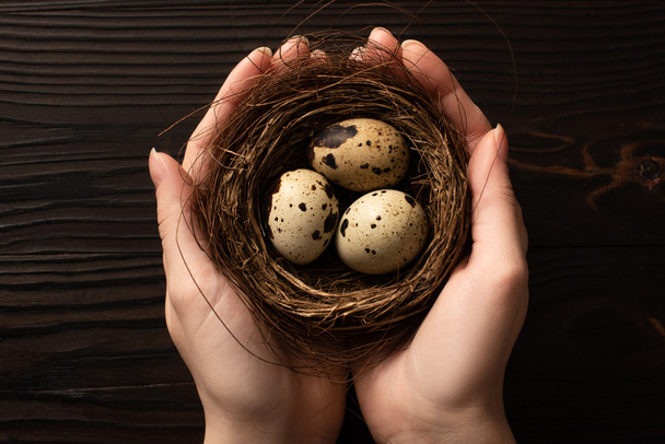 partial view of woman holding quail eggs on dark wooden background - Photo, Image