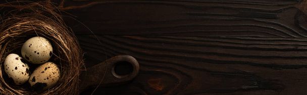 panoramic shot of quail eggs in brown nest on chopping board on dark wooden surface - Valokuva, kuva