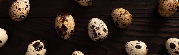 panoramic shot of quail eggs on dark wooden surface - Фото, зображення
