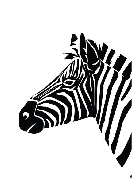 Vector illustration of zebra - Vektor, obrázek