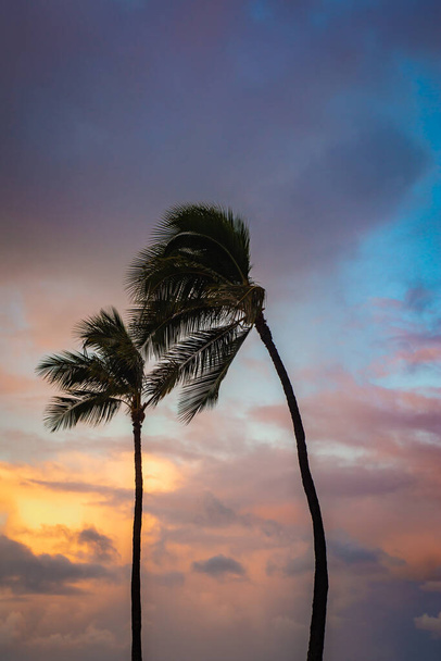 Színes és drámai viharfelhők a pálmafákkal Fúj a szél a trópusi viharban - Fotó, kép