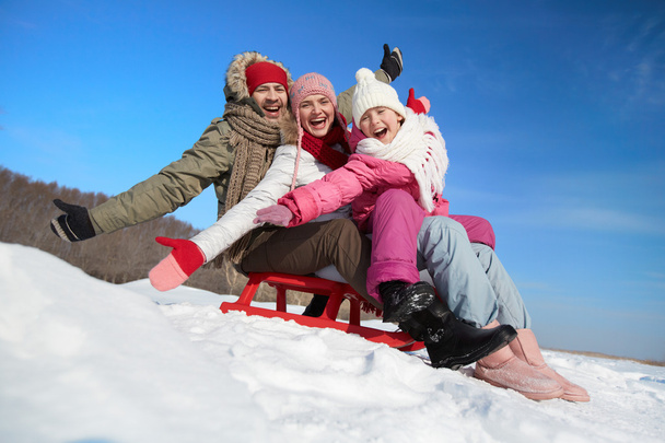 Family on sledge - Fotoğraf, Görsel