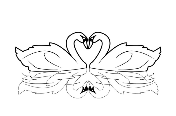 Vector illustration of swan - Vetor, Imagem